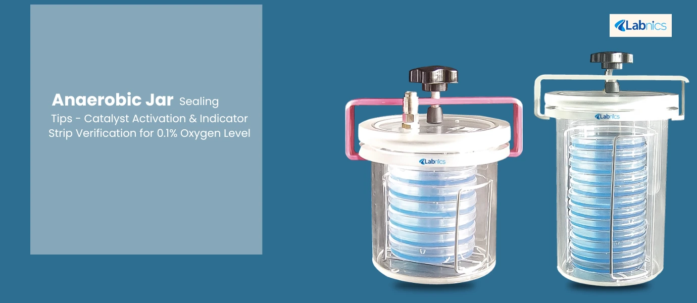 Anaerobic Jar Sealing Tips Catalyst Activation Indicator Strip Verification for 0 1 Oxygen Leve