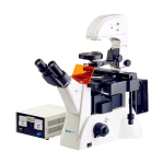 Inverted Fluorescence Microscope NIFM-100