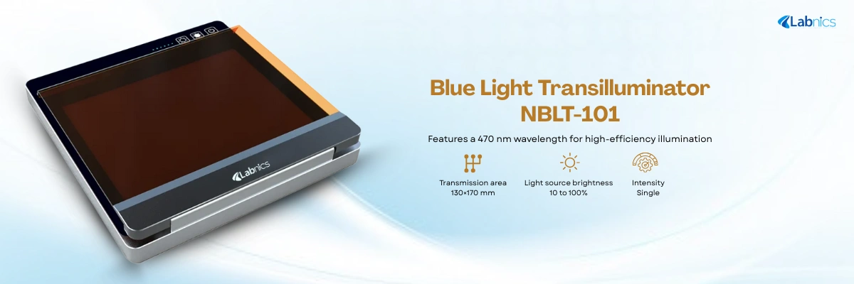 Blue Light Transilluminator NBLT-101