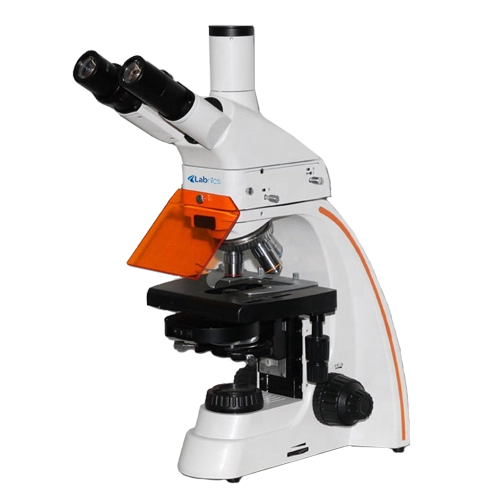 Fluorescence Microscope NFM-100